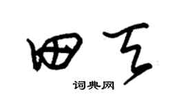 朱锡荣田天草书个性签名怎么写