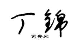 朱锡荣丁锦草书个性签名怎么写