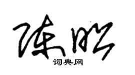 朱锡荣陈昭草书个性签名怎么写