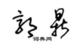 朱锡荣郭鼎草书个性签名怎么写