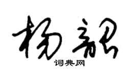 朱锡荣杨韶草书个性签名怎么写