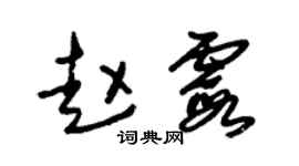 朱锡荣赵霞草书个性签名怎么写