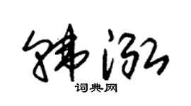 朱锡荣韩泓草书个性签名怎么写