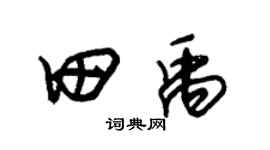 朱锡荣田禹草书个性签名怎么写