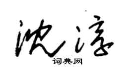 朱锡荣沈淳草书个性签名怎么写