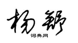 朱锡荣杨舒草书个性签名怎么写