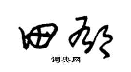 朱锡荣田郁草书个性签名怎么写