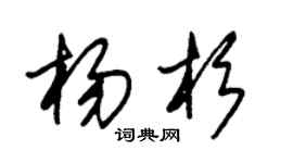 朱锡荣杨杉草书个性签名怎么写