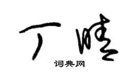 朱锡荣丁晴草书个性签名怎么写