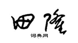 朱锡荣田隆草书个性签名怎么写