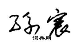 朱锡荣孙宸草书个性签名怎么写