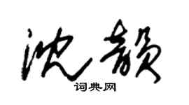 朱锡荣沈韵草书个性签名怎么写