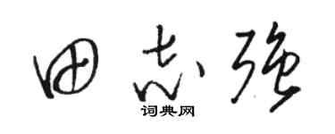 骆恒光田志强草书个性签名怎么写