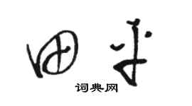 骆恒光田平草书个性签名怎么写