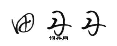 骆恒光田丹丹草书个性签名怎么写