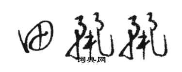 骆恒光田丽丽草书个性签名怎么写