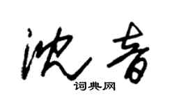 朱锡荣沈音草书个性签名怎么写