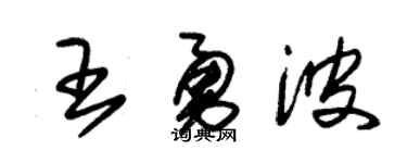 朱锡荣王勇波草书个性签名怎么写