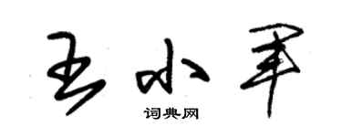 朱锡荣王小军草书个性签名怎么写