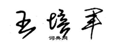 朱锡荣王培军草书个性签名怎么写