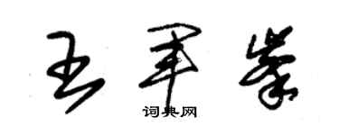 朱锡荣王军峰草书个性签名怎么写