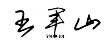 朱锡荣王军山草书个性签名怎么写