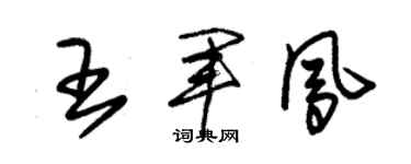 朱锡荣王军凤草书个性签名怎么写