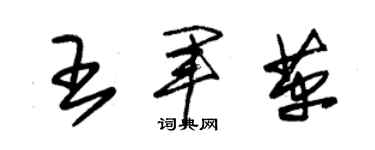 朱锡荣王军革草书个性签名怎么写