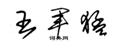 朱锡荣王军猛草书个性签名怎么写