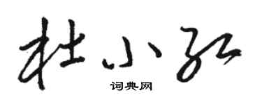 骆恒光杜小红草书个性签名怎么写