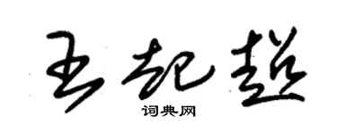 朱锡荣王起超草书个性签名怎么写