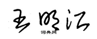 朱锡荣王明江草书个性签名怎么写