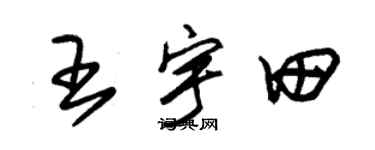 朱锡荣王宇田草书个性签名怎么写