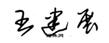 朱锡荣王建展草书个性签名怎么写