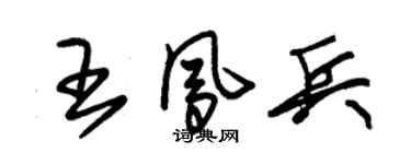 朱锡荣王凤兵草书个性签名怎么写