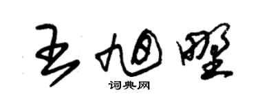 朱锡荣王旭野草书个性签名怎么写