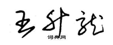 朱锡荣王升龙草书个性签名怎么写