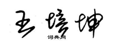 朱锡荣王培坤草书个性签名怎么写