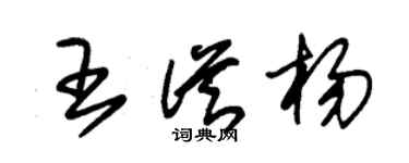 朱锡荣王从杨草书个性签名怎么写
