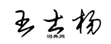 朱锡荣王士杨草书个性签名怎么写