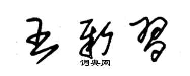 朱锡荣王新习草书个性签名怎么写