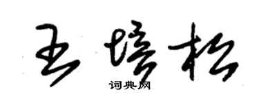 朱锡荣王培松草书个性签名怎么写