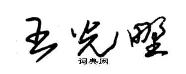 朱锡荣王光野草书个性签名怎么写