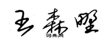 朱锡荣王森野草书个性签名怎么写