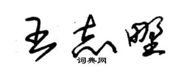 朱锡荣王志野草书个性签名怎么写