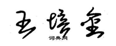 朱锡荣王培金草书个性签名怎么写