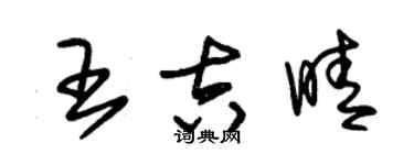 朱锡荣王吉晴草书个性签名怎么写