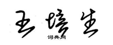 朱锡荣王培生草书个性签名怎么写