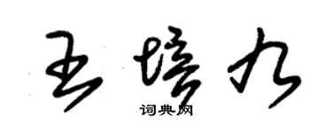 朱锡荣王培九草书个性签名怎么写