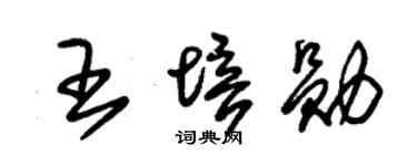 朱锡荣王培勋草书个性签名怎么写